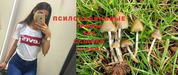 крисы Куйбышев
