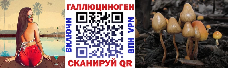 закладка  Кумертау  Псилоцибиновые грибы мухоморы 