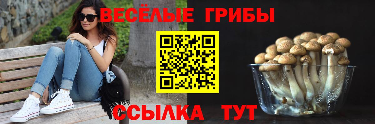 Псилоцибиновые грибы прущие грибы  Вход с VPN  Галлюциногенные грибы мицелий  Кумертау 